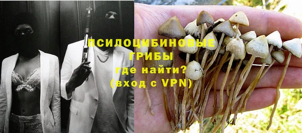 амф Алексеевка
