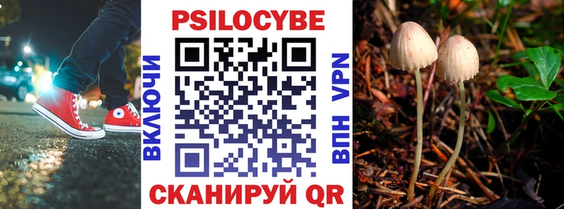 МЕГА зеркало  Лебедянь  Псилоцибиновые грибы Psilocybine cubensis 